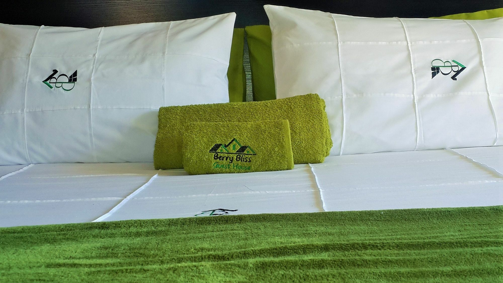 Berry Bliss Guest House Gaborone Kültér fotó